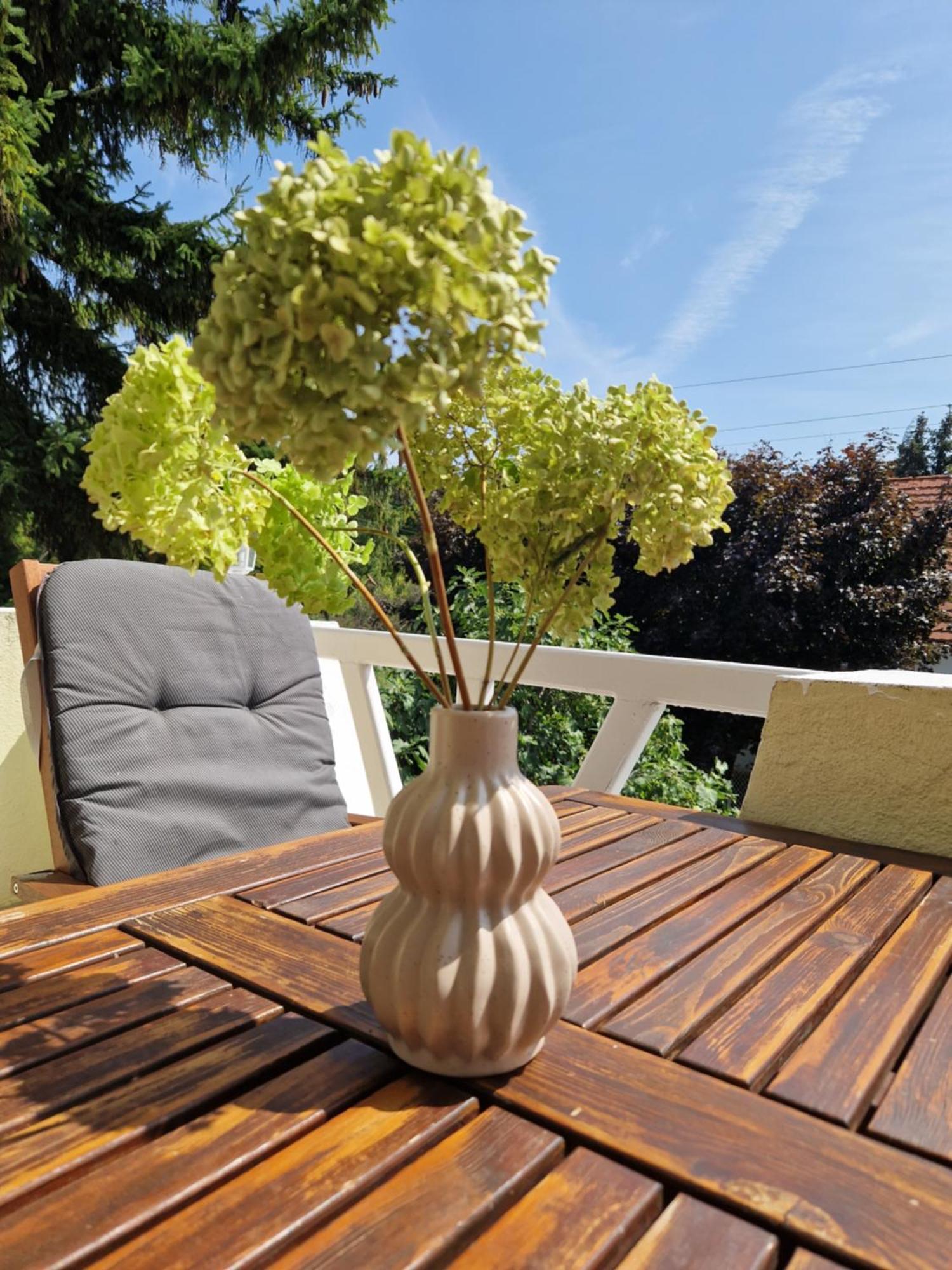 Balaton Apartman Fuered บาลาตอนฟือเรด ภายนอก รูปภาพ